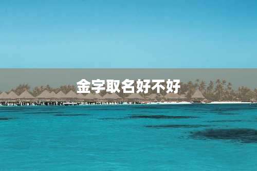 金字取名好不好
