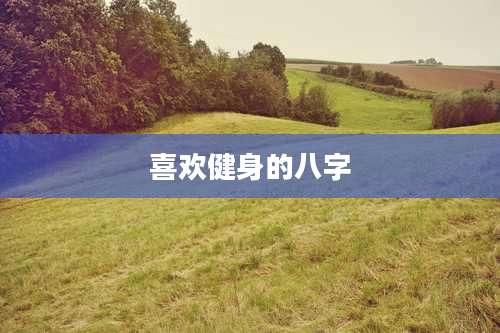 喜欢健身的八字