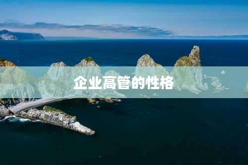 企业高管的性格