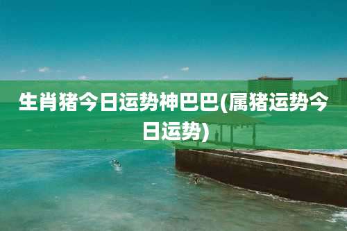 生肖猪今日运势神巴巴(属猪运势今日运势)