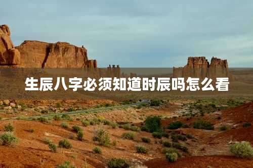 生辰八字必须知道时辰吗怎么看