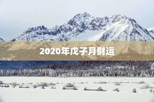 2020年戊子月财运