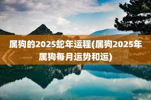 属狗的2025蛇年运程(属狗2025年属狗每月运势和运)