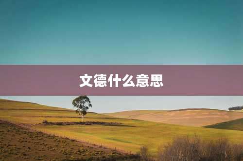 文德什么意思