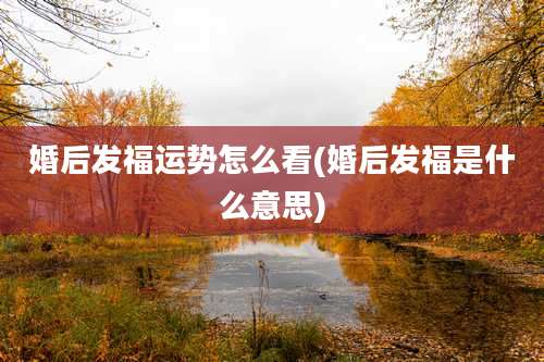 婚后发福运势怎么看(婚后发福是什么意思)