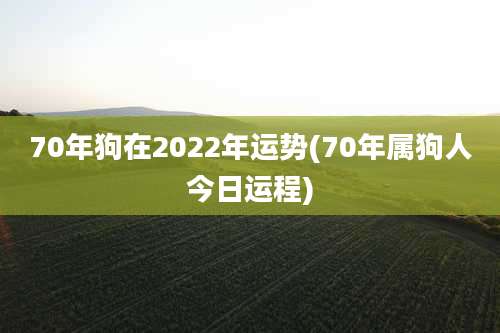 70年狗在2022年运势(70年属狗人今日运程)
