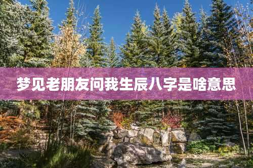 梦见老朋友问我生辰八字是啥意思