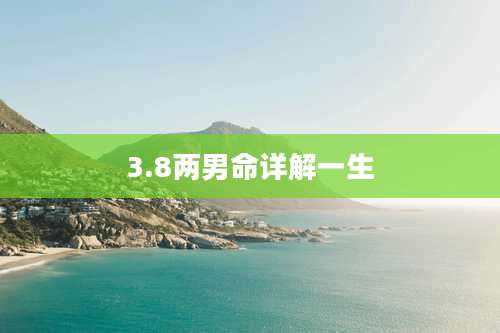 3.8两男命详解一生