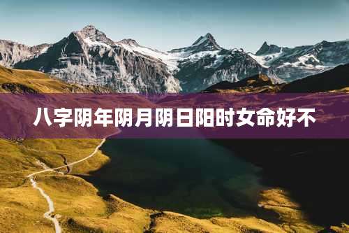 八字阴年阴月阴日阳时女命好不