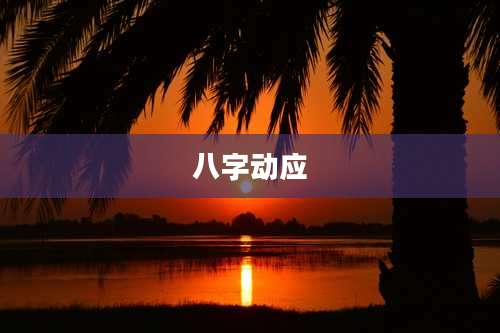 八字动应
