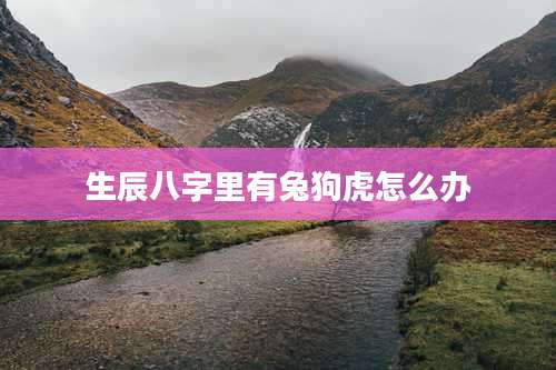 生辰八字里有兔狗虎怎么办