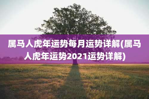 属马人虎年运势每月运势详解(属马人虎年运势2021运势详解)