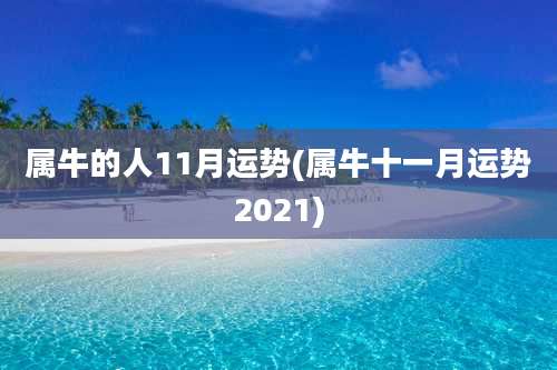 属牛的人11月运势(属牛十一月运势2021)