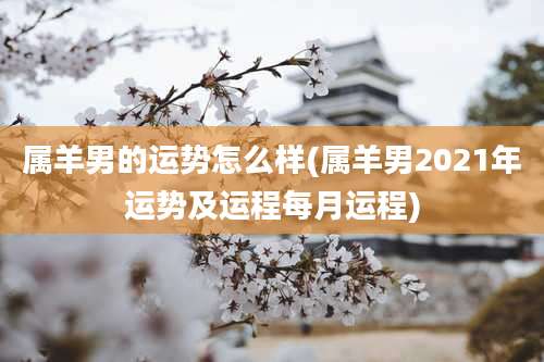 属羊男的运势怎么样(属羊男2021年运势及运程每月运程)