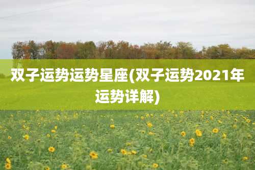 双子运势运势星座(双子运势2021年运势详解)