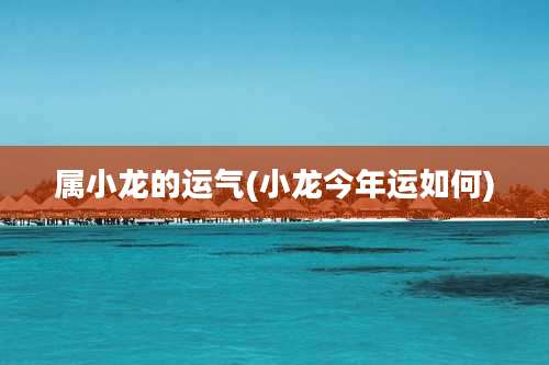 属小龙的运气(小龙今年运如何)