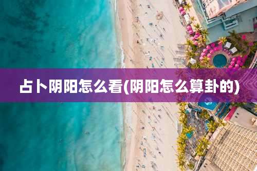 占卜阴阳怎么看(阴阳怎么算卦的)