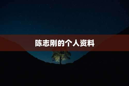 陈志刚的个人资料