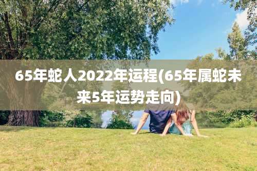 65年蛇人2022年运程(65年属蛇未来5年运势走向)