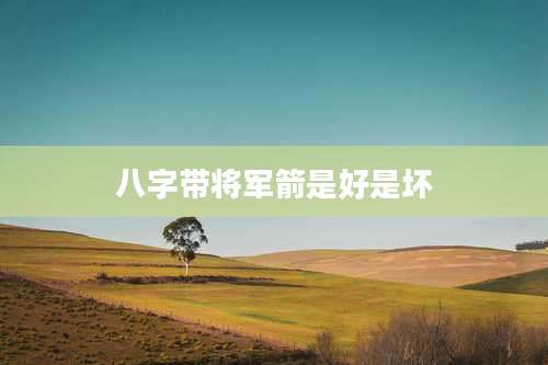 八字带将军箭是好是坏