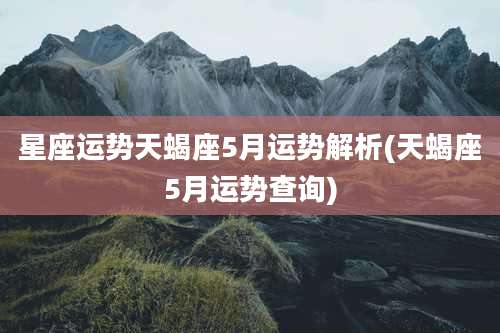 星座运势天蝎座5月运势解析(天蝎座5月运势查询)