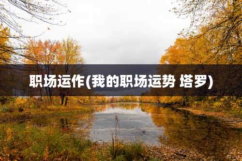 职场运作(我的职场运势 塔罗)