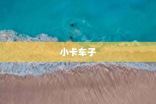 小卡车子