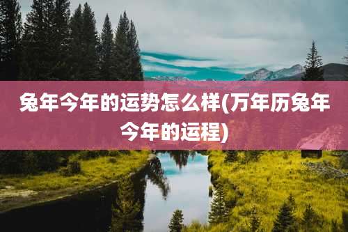 兔年今年的运势怎么样(万年历兔年今年的运程)