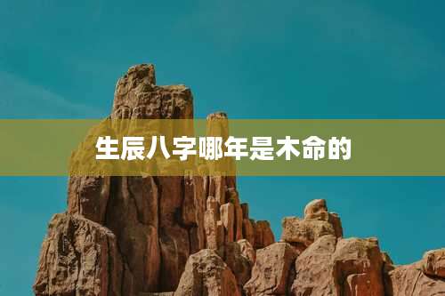 生辰八字哪年是木命的