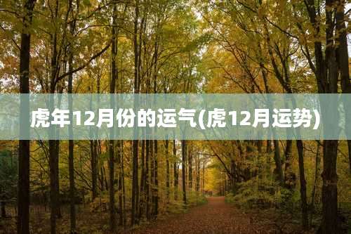 虎年12月份的运气(虎12月运势)