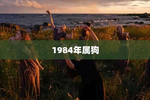 1984年属狗
