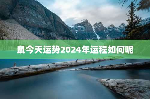 鼠今天运势2024年运程如何呢
