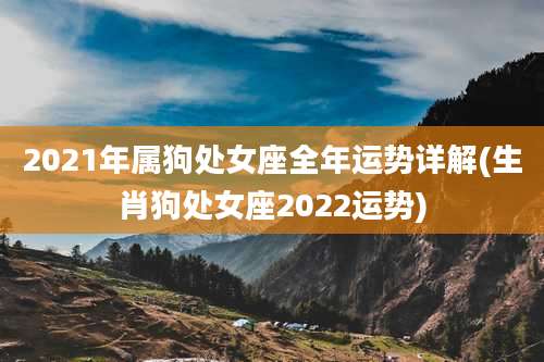 2021年属狗处女座全年运势详解(生肖狗处女座2022运势)
