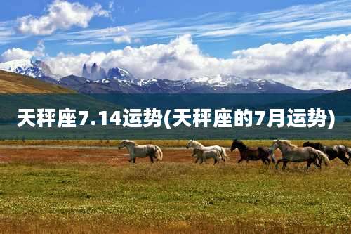 天秤座7.14运势(天秤座的7月运势)