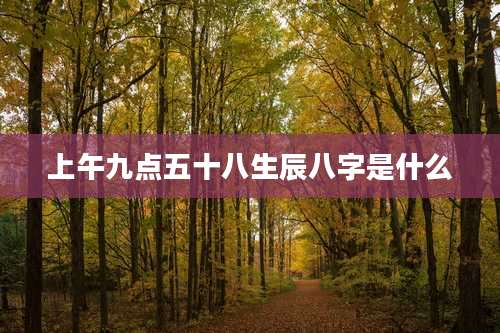 上午九点五十八生辰八字是什么
