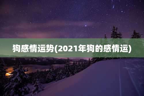 狗感情运势(2021年狗的感情运)
