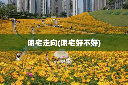 阴宅走向(阴宅好不好)