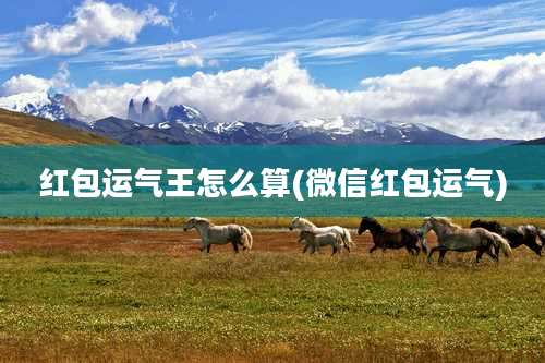 红包运气王怎么算(微信红包运气)