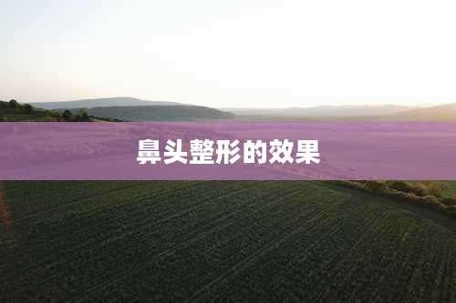 鼻头整形的效果