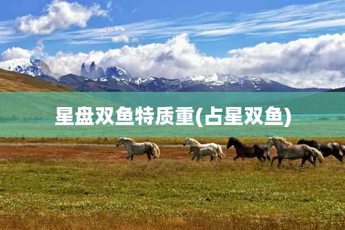 星盘双鱼特质重(占星双鱼)