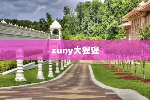 zuny大猩猩