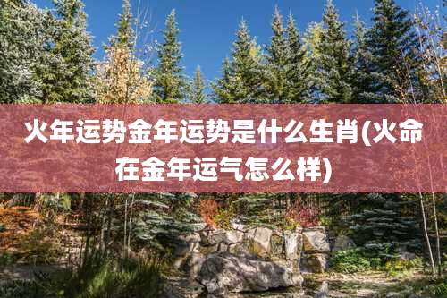火年运势金年运势是什么生肖(火命在金年运气怎么样)