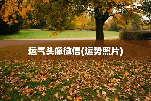 运气头像微信(运势照片)