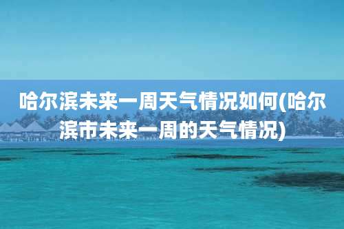 哈尔滨未来一周天气情况如何(哈尔滨市未来一周的天气情况)