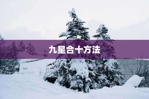 九星合十方法