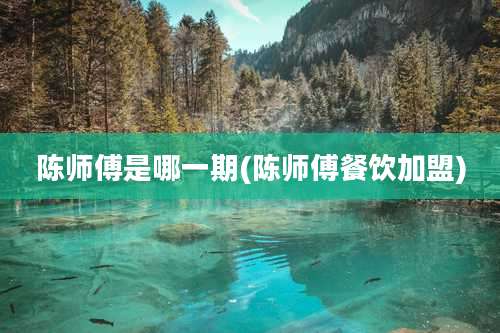 陈师傅是哪一期(陈师傅餐饮加盟)