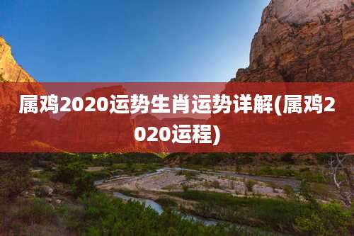 属鸡2020运势生肖运势详解(属鸡2020运程)