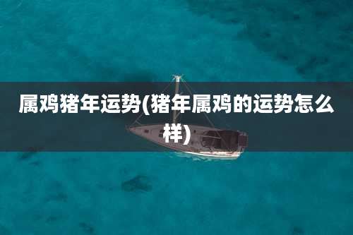 属鸡猪年运势(猪年属鸡的运势怎么样)