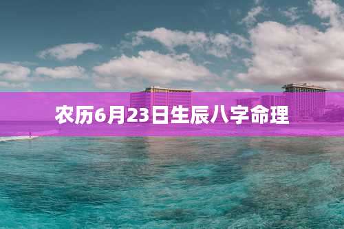农历6月23日生辰八字命理