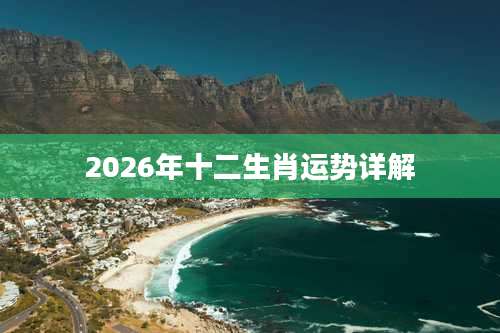 2026年十二生肖运势详解